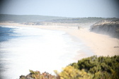 Enlarge photo 628