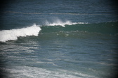 Enlarge photo 654