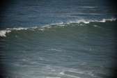 Enlarge photo 655
