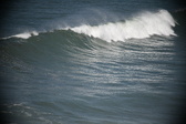 Enlarge photo 656