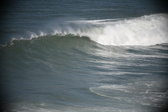Enlarge photo 658