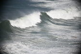 Enlarge photo 661
