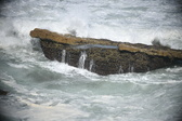 Enlarge photo 676