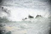 Enlarge photo 678
