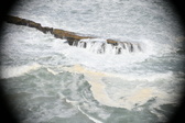 Enlarge photo 679