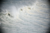Enlarge photo 683