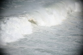 Enlarge photo 685
