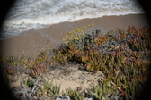 Enlarge photo 687
