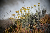 Enlarge photo 688