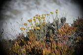 Enlarge photo 689