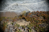 Enlarge photo 690