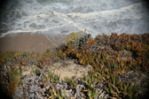 Enlarge photo 691