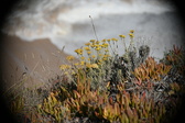 Enlarge photo 692