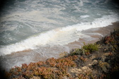 Enlarge photo 693