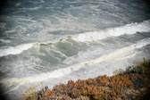 Enlarge photo 694