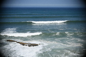 Enlarge photo 695
