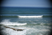 Enlarge photo 696