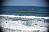 Enlarge photo 438