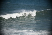 Enlarge photo 716
