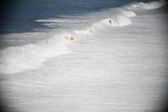Enlarge photo 729