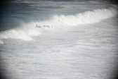 Enlarge photo 733