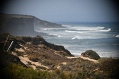 Enlarge photo 738