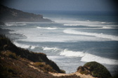 Enlarge photo 746