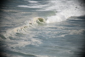 Enlarge photo 748