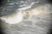 Enlarge photo 749