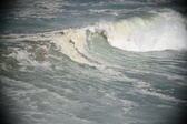 Enlarge photo 751
