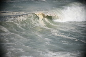 Enlarge photo 752