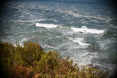 Enlarge photo 756