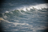 Enlarge photo 767