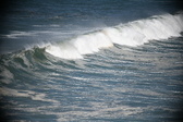 Enlarge photo 768