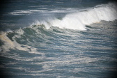 Enlarge photo 769