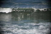 Enlarge photo 775