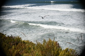 Enlarge photo 779