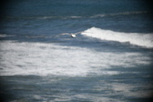 Enlarge photo 781