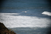 Enlarge photo 782