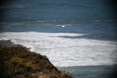 Enlarge photo 783