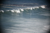 Enlarge photo 786