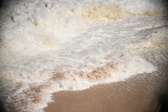 Enlarge photo 790