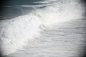 Enlarge photo 793