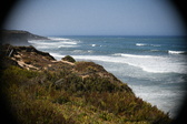 Enlarge photo 794
