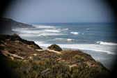 Enlarge photo 795