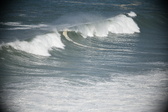 Enlarge photo 798