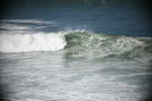 Enlarge photo 803