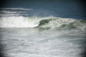 Enlarge photo 805