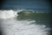 Enlarge photo 829