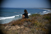 Enlarge photo 847